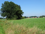 Zicht op Beuningen
